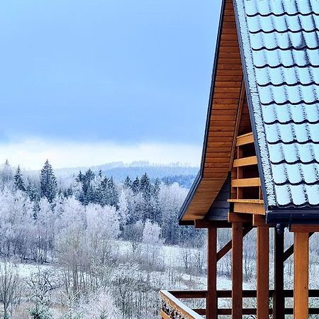 Osada Sierpnica - Uroczy dom z kominkiem w Górach Sowich Exterior foto